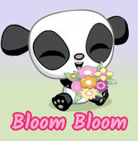 Bloom Bloom